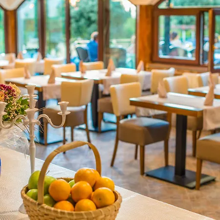 Hotel Villa Vrsar Couette-café 3*
